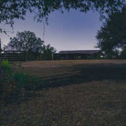 Pioneer Farms: Night Tour