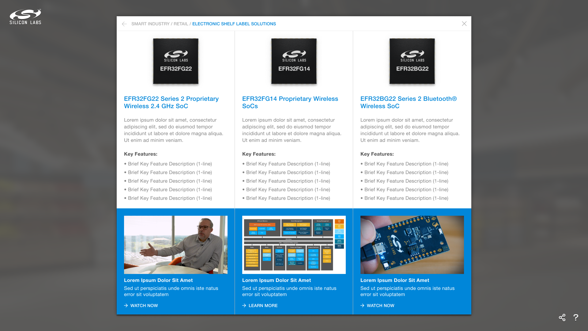 Silicon Labs: Virtual Store