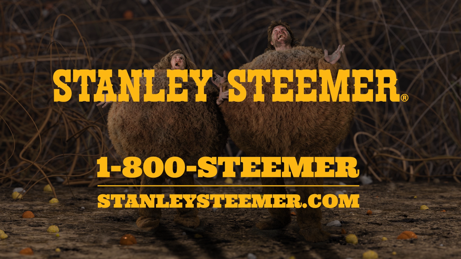 Stanley Steemer: The Dirtballs